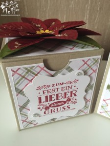 Stampin Up, Weihnachtsstern-Stanze, Box (2) (Kopie)