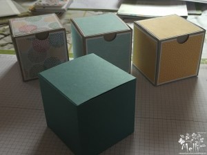 Stampin Up, Anleitung, Viereckige Box, One Sheet Box (4) (Kopie)