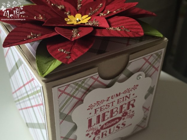Stampin Up, Weihnachtsstern-Stanze, Box (7) (Kopie)