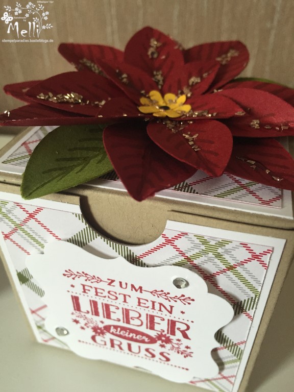 Stampin Up, Weihnachtsstern-Stanze, Box (3) (Kopie)
