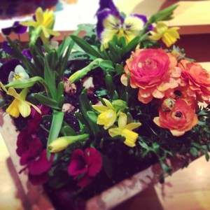 198a66e4ac7011e3968012021e55fa0f_8