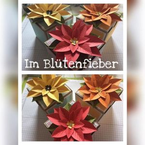 11925565_1652955601617309_1018898213_n